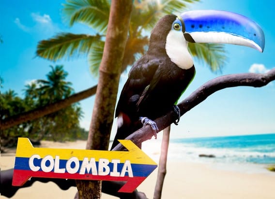Toucan on a branch before palms and a beach, beside a Colombia arrow sign