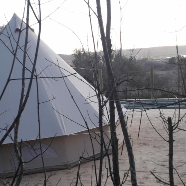 Cream bell tent seen through bare branches, hill and water beyond
